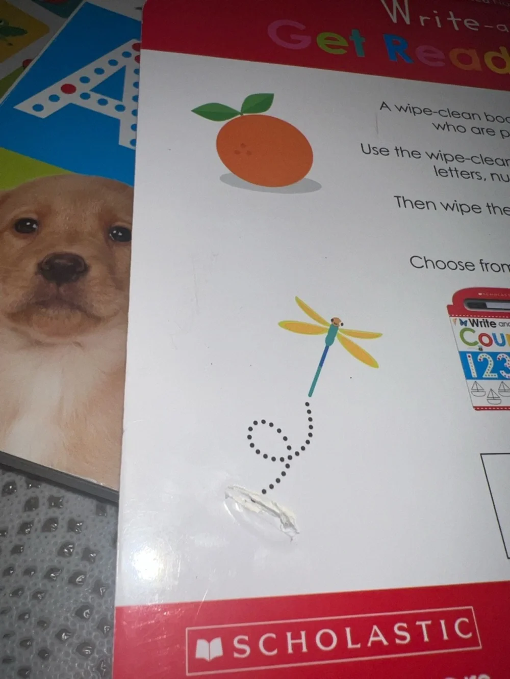 Scholastic Write-and-Wipe Pre-K & Practice Workbook Set - Multicolor